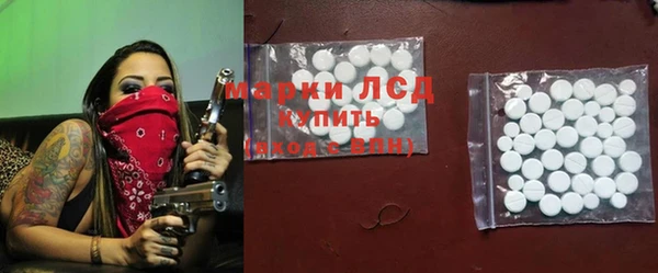 стафф Михайлов