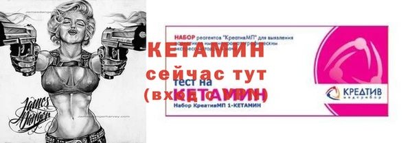 индика Медногорск