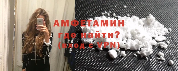 индика Медногорск