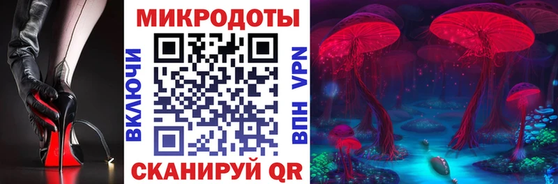 гидра вход Майкоп Галлюциногенные грибы GOLDEN TEACHER где купить наркотик