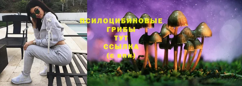 закладка  Майкоп  ОМГ ОМГ как войти  Галлюциногенные грибы Cubensis 