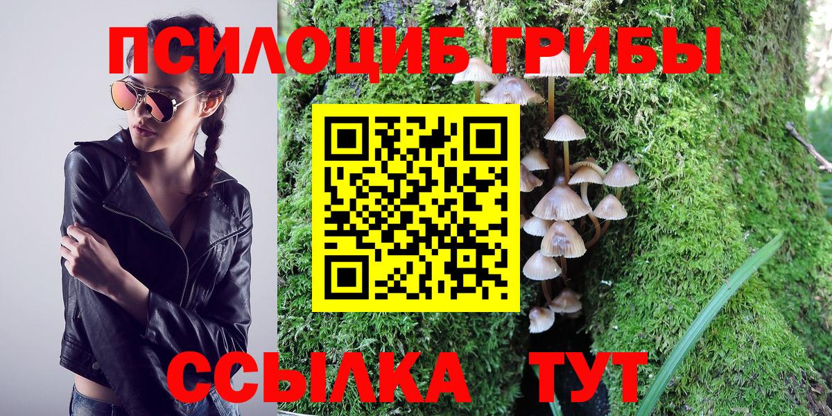 Галлюциногенные грибы ЛСД  Вход с VPN  Галлюциногенные грибы Psilocybine cubensis  Майкоп 