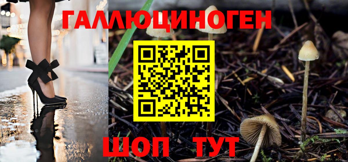 Галлюциногенные грибы Cubensis Майкоп